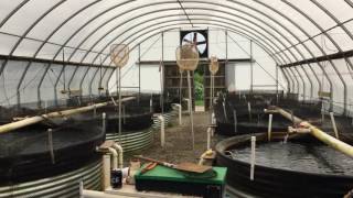 No fish tale Aquaculture entrepreneur raising 1 million pounds of trout per year [upl. by Eihs]