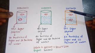 Hypertonichypotonic amp isotonic solutionmade easyHindi [upl. by Ninnette]