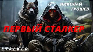 STALKER Первый Сталкер Николай Грошев Часть 1 Аудиокнига [upl. by Codding]