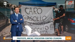 Le proteste dei pescatori  Unomattina  28022024 [upl. by Atalante]