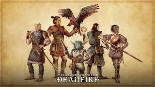 Quantay Lo Mon Consiratseamlessly extended  Pillars of Eternity II Deadfire OST [upl. by Aileon]