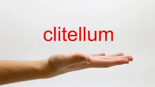 How to Pronounce clitellum  American English [upl. by Worl]