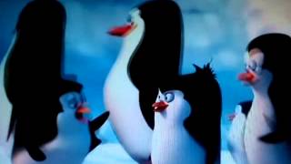 I pinguini di Madagascar  scena del film [upl. by Hgielar]