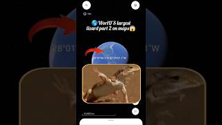 WorlDS largest lizard part 2 on maps Google Earth maps googleearth maps viralvideo like camedy [upl. by Eralcyram]