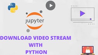 Download  Any Video  From Any Website  For Free  With Python [upl. by Ressler813]