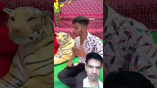 FACTFIREKING CHOTU KA FAKE TIGER shorts viralvideo viral FACTFIREKING [upl. by Aerona]