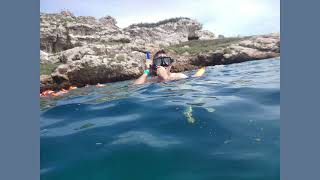 Buceo de superficie en las Islas Marietas en Puerto Vallarta México Esnórkel en las Islas Marietas [upl. by Romano334]