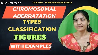 Types Of Chromosomal Aberration BSc 3rd YearChromosomal Mutation [upl. by Dieball]