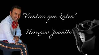 Vientres que laten Hermano Juanito Audio Oficial [upl. by Nodroj66]