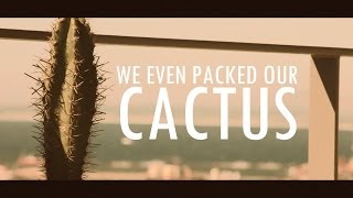 Maltego and Nmap in Teeth package aka we packed the cactus [upl. by Desiri]