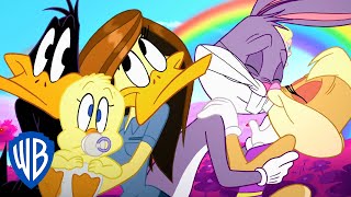 Looney Tunes  Couples Goals  WB Kids [upl. by Ahsilrae]