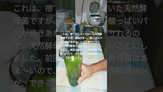 【天然酵母菌でパン】この菌では、断念ですという動画。 [upl. by Onitsuaf]