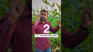 कोई नहीं बताएगा ज्वार फसल के ये 5 बड़े फायदे  Five benefits of sorghum crop [upl. by Lilybel61]