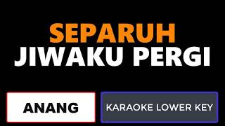 Anang  Separuh Jiwaku Pergi Karaoke Lower Key [upl. by Dubenko]