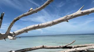 Longboat Key Beach Walk [upl. by Namyh]