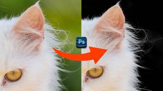 Quick Way to Remove Complex Background in Photoshop 2024 [upl. by Drugge]