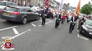 Cookstown Sons Of William FB Full Clip  Their Own Parade 2024 [upl. by Conni]