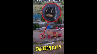 we ran into REAL cartoon cat while flying our drone and HE FOUND OUT [upl. by Faulkner]