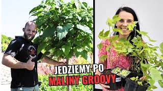 Jedziemy po maliny Szefowa znowu zaszalała [upl. by Yennaiv368]