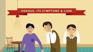 The Symptoms of Dengue [upl. by Tatiania]