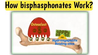 Mechanism action of bisphasphonates  How bisphasphonates work  Doctors goal [upl. by Davina]