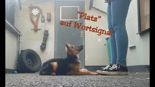 quotPlatzquot auf Wortkommando [upl. by Melodie]