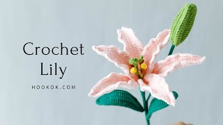 How to Crochet Lily  Free Pattern [upl. by Elman]