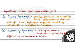 Describe polymorphism in lysosomes [upl. by Jurgen]