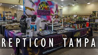 A day at Repticon Tampa  Reptile Show amp Expo  Crested Geckos Gargoyle Geckos  2020 [upl. by Palma636]