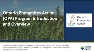 Ontario Phragmites Program OPA Introduction and Overview [upl. by Etty]