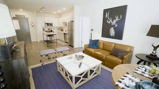 Avenida Lakewood  TwoBedroom Apartment Home Guest Suite [upl. by Lesh]