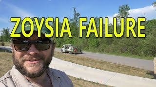 Sometimes Nature Wins the Battle ZOYSIA FAILURE [upl. by Yadahs]