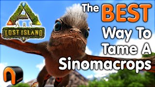 How To Tame A Sinomacrops Ark Taming Guide Lost Island [upl. by Viridissa]