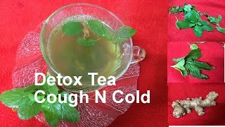 Detox tea Tulsi MINT GINGER Weight Loss Detox Tea [upl. by Assilaj]