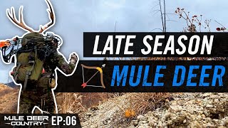 Late Season Archery Mule Deer Hunt  LIVER SHOT  MDC EP06 [upl. by Wrdna990]