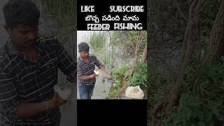 బొచ్చ పడింది మామtrandingfishingcatlafishfeeder fishingnatureviralshortsvillagelifetelugu [upl. by Adeehsar]