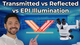 Transmitted VS Reflected VS Epi Illumination in Microscopes [upl. by Sivatco]