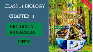 Lipids  Types of lipids  Class 11 New biology Book  BIOLOGICAL MOLECULES MDCAT [upl. by Assener]