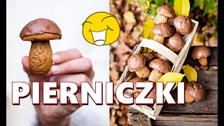 PIERNICZKI GRZYBKI – PRZEPIS – Mała Cukierenka [upl. by Samohtnhoj]