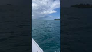 My Daily NassauBahamas TheBahamas Explorer Viral Travel [upl. by Obala]