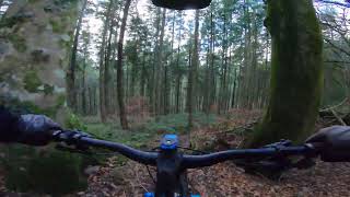 orbea wild rock track [upl. by Machos261]