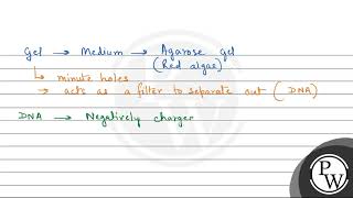 Given below is the diagram representing the observations made for separating DNA fragments by Ge [upl. by Aisereht]