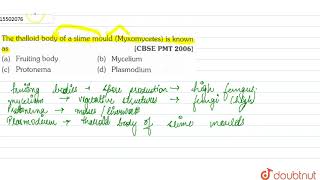 The thalloid body of a slime mould Myxomycetes is known as  11  PROSTISTA  BIOLOGY  ERROR [upl. by Enitsua79]