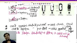 PLASMOLYSIS AND ITS STAGE EXPLAINED IN HINDI PLANT PHYSIOLOGY CLASS 11TH BIOLOGY [upl. by Enilemme280]