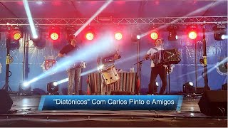 Diatónicos com Carlos Pinto e Amigos 2 Barrenta [upl. by Chill]