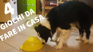 Problem solving quattro giochi da fare in casa con il cane [upl. by Aniger]