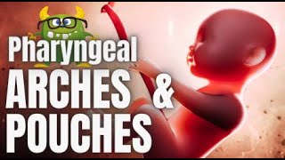 Pharyngeal Pouches amp Arches Mnemonic for USMLE [upl. by Lleznol]