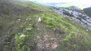 Ogmore vale mtb mast descent [upl. by Anahahs]