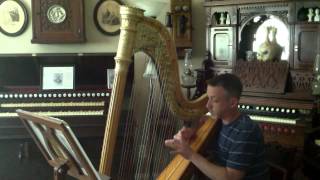 Lyon amp Healy Harp Nocturne  M Grandjany [upl. by Einafets482]