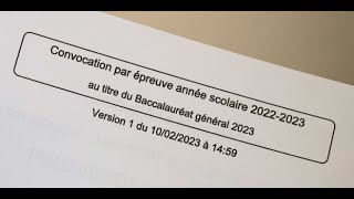 Épreuves de spécialité du bac  dernières révisions dans l’angoisse [upl. by Javier792]